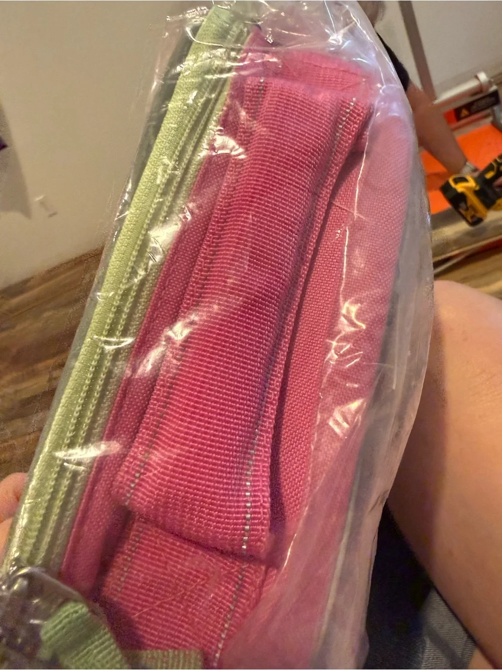 Pottery Barn Kids Pink Butterfly Lunch Bag with Green Trim